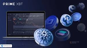 Exploring the World of Cryptocurrency Trading with PrimeXBT